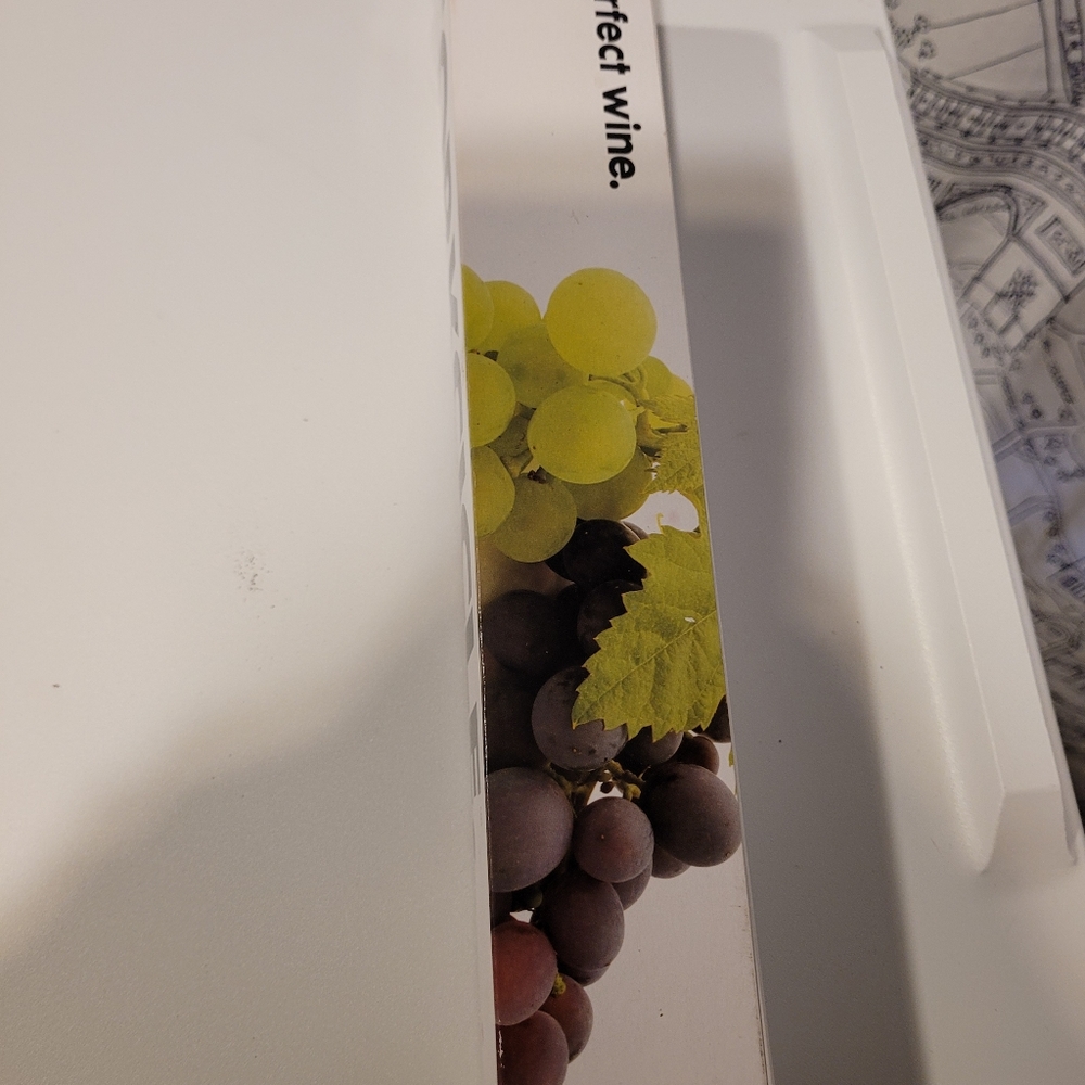 Corkcicle Wine Chiller/Stopper EUC - Picture 4 of 6